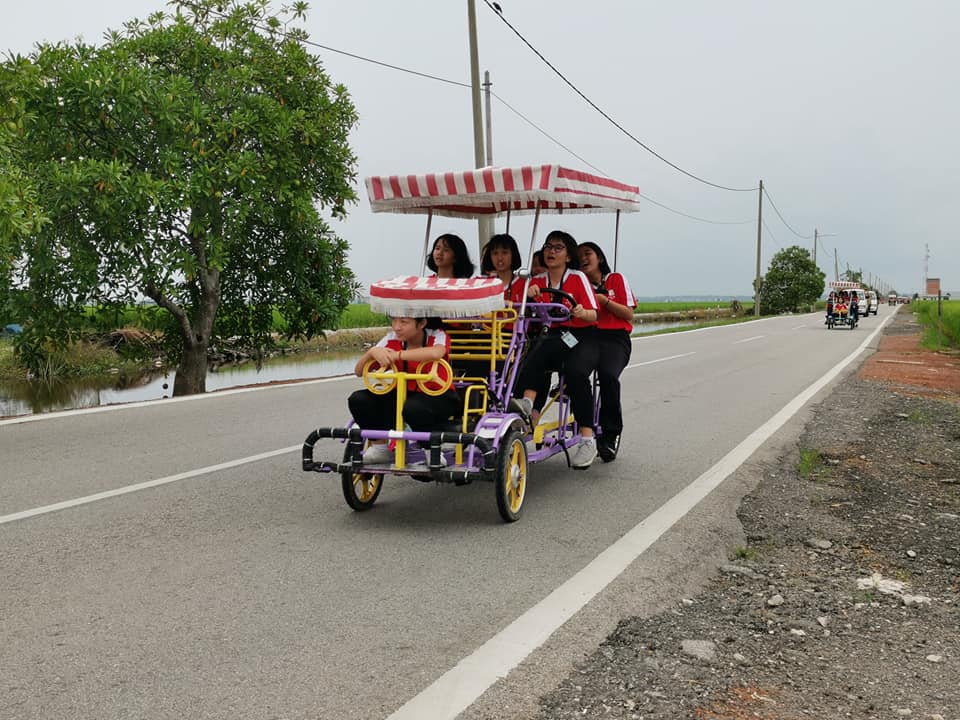 Cycling in the Paddy Field Sekinchan