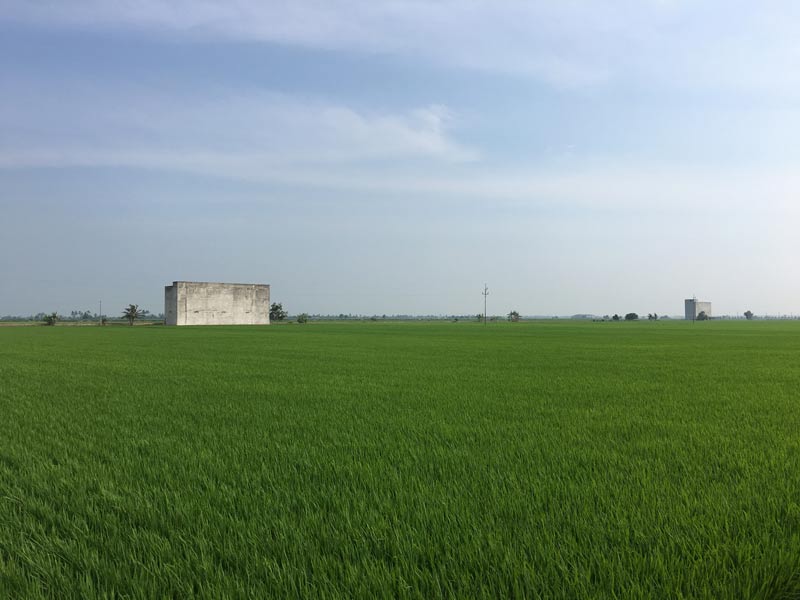 Swiftlet Farming in Sekinchan - 