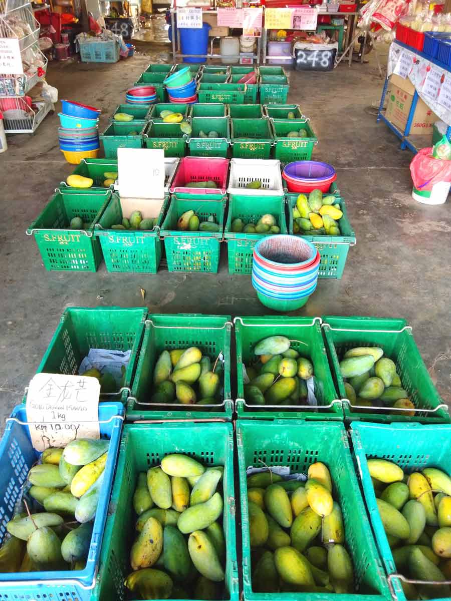 Mangoes in Mango King Sekinchan