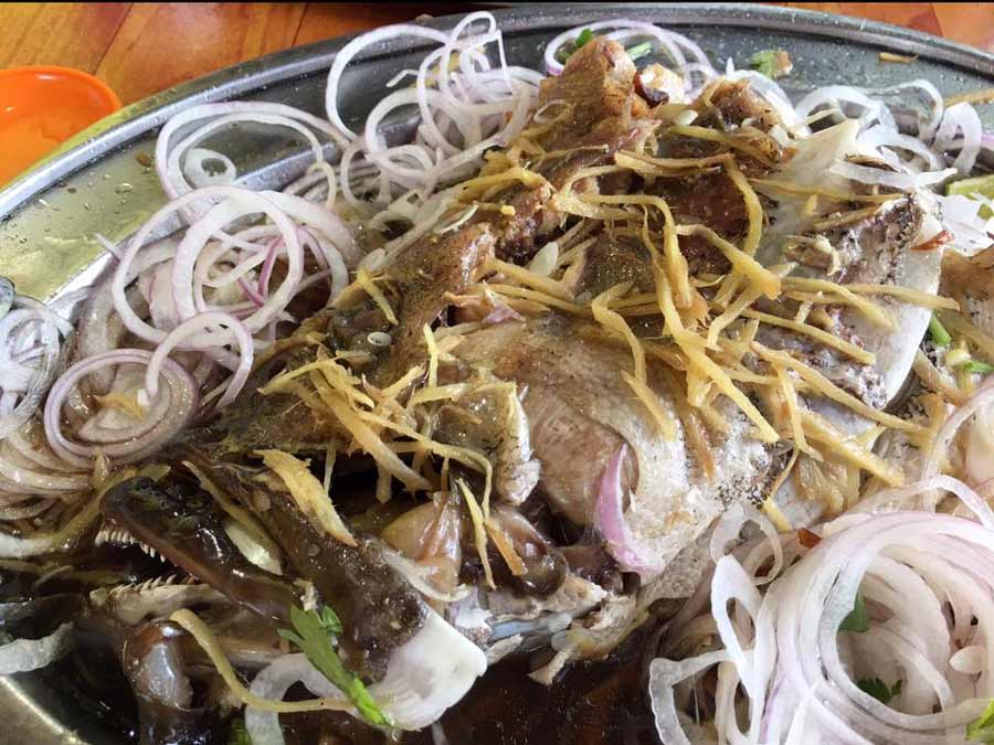 Restoran Ka Loh (嘉乐茶餐室－清蒸鱼头)